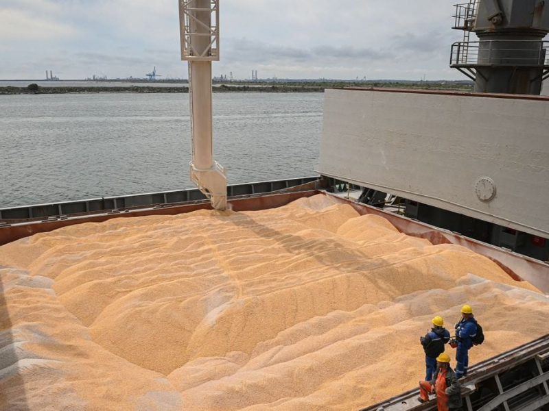 310 000 tonnes de blé en deux semaines : un record historique !