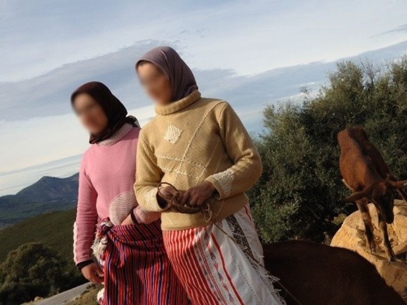 Sous les radars du Plan Vert : les femmes, les jeunes et les montagnes