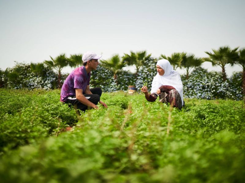Agriculteurs familiaux : les grands oubliés de la stratégie Génération Green ?
