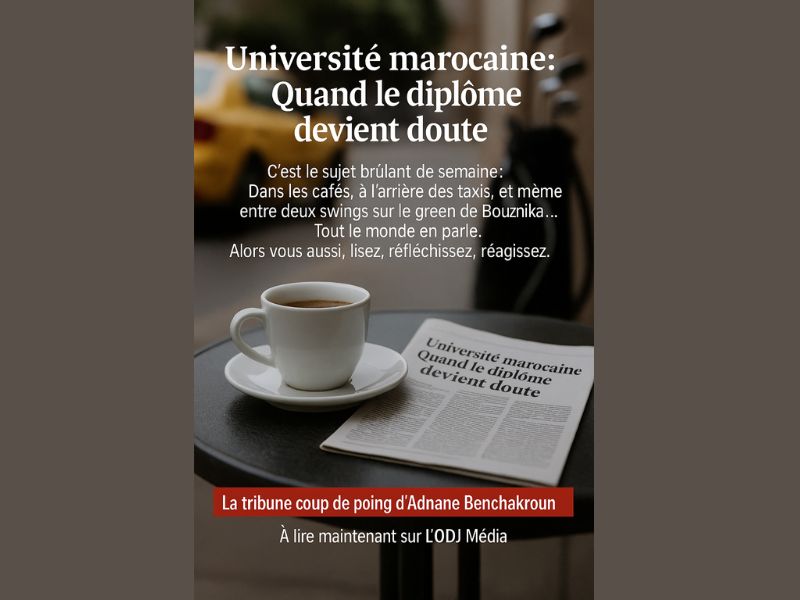 Du soupçon au scandale : Quand l’université trahit la promesse de l’effort