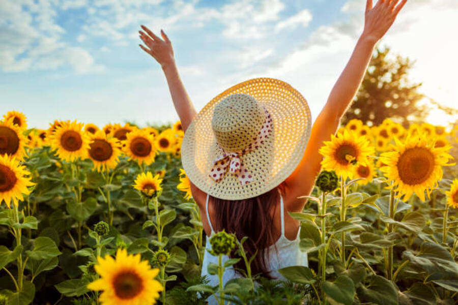 Le “Sunflower Time” : le secret bien-être inspiré par la nature