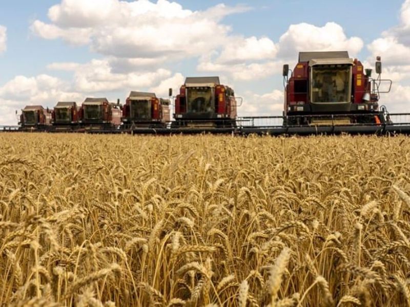 Pain sur la table : le Maroc mise gros sur le blé made in Russia