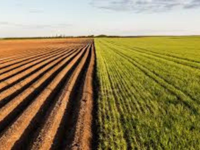 Une agriculture à bout de souffle : vers une refondation du modèle productiviste au Maroc ?