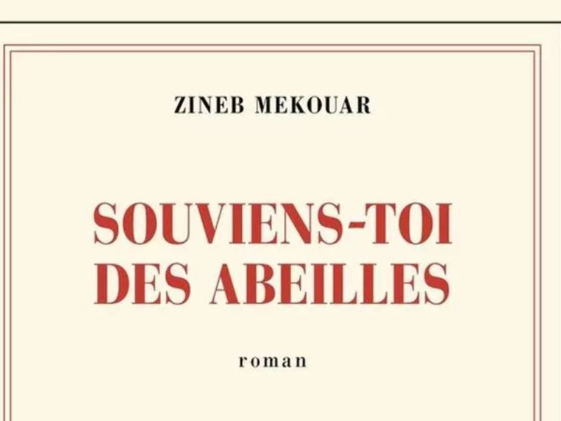 "Souviens-toi des abeilles" de Zineb Mekouar : un roman-miracle entre mémoire, silence et bourdonnement du monde