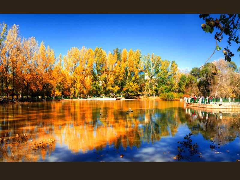 Festival d’Ifrane : de la poésie amazighe aux secrets de l’irrigation