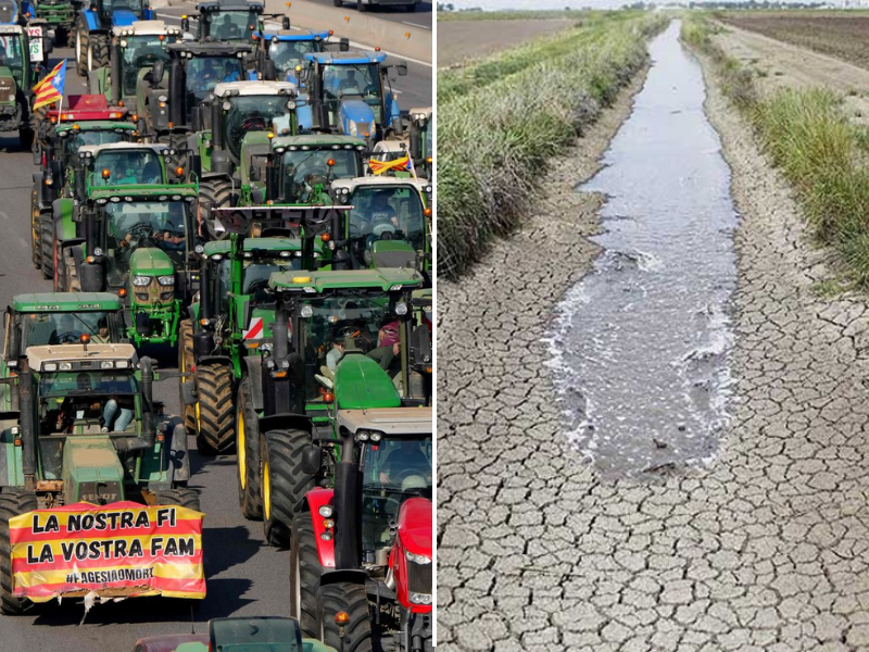 Exportations agricoles : entre succès commercial et inquiétudes hydriques