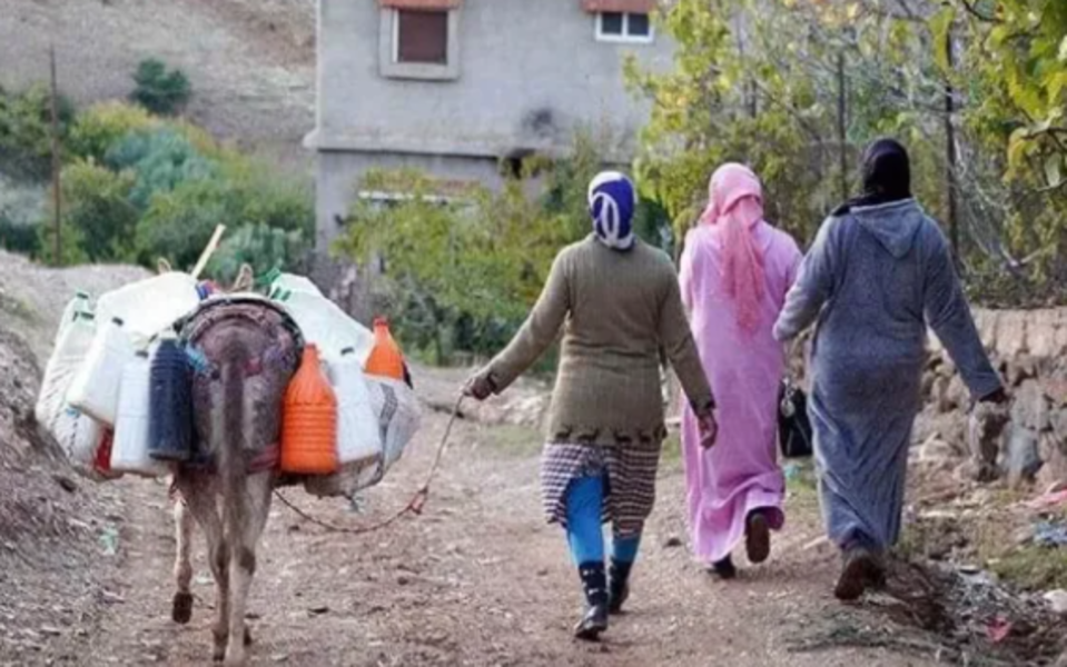 Un tiers des jeunes femmes rurales marocaines sans emploi, ni formation : la FAO tire la sonnette d’alarme