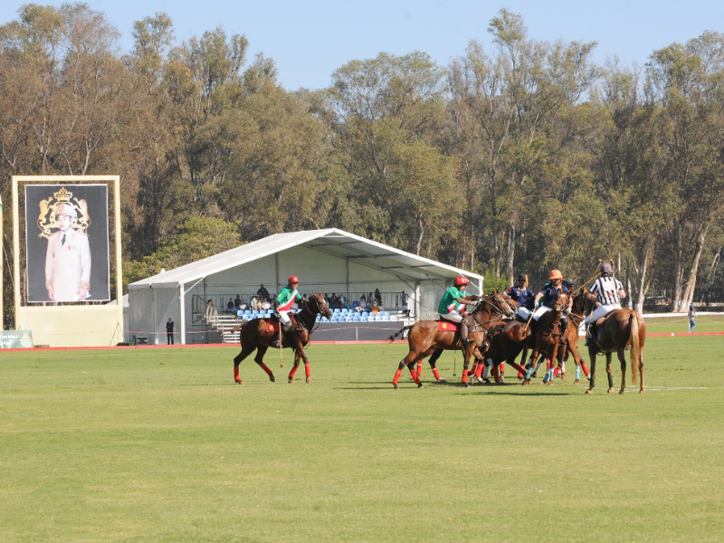 ​Une semaine de polo et de passion à ne pas manquer