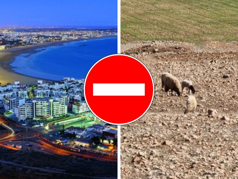 Voilà pourquoi SM le Roi ne veut pas d’un Maroc à deux vitesses