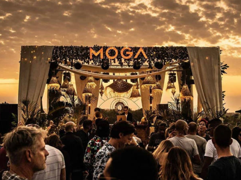 MOGA Festival 2025 : le programme dévoilé