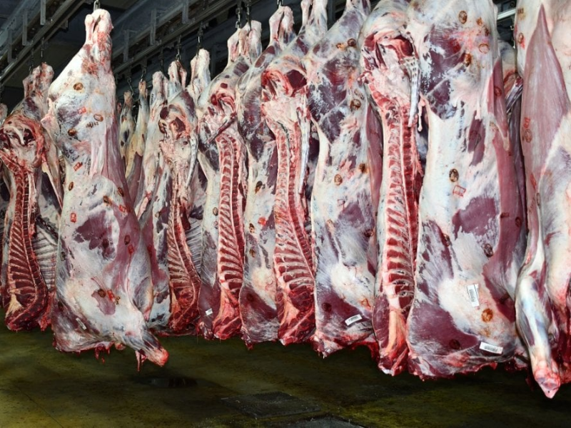 La viande rouge flambe à Casablanca : jusqu’à 115 DH/kg au marché de gros