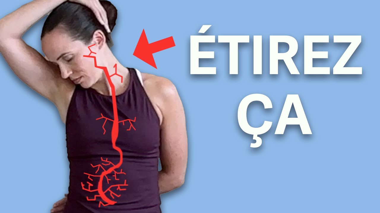 Le nerf vague.. un fil discret au cœur de notre santé