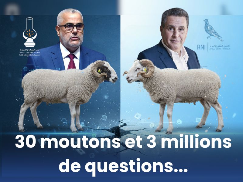 30 moutons et 3 millions de questions : la politique marocaine en clair-obscur