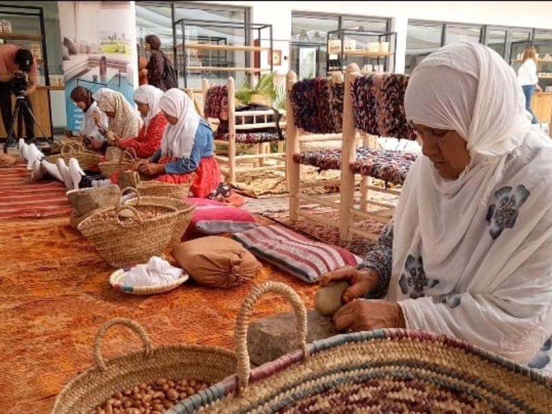 Les coopératives agricoles : quand le Maroc réinvente ses produits du terroir
