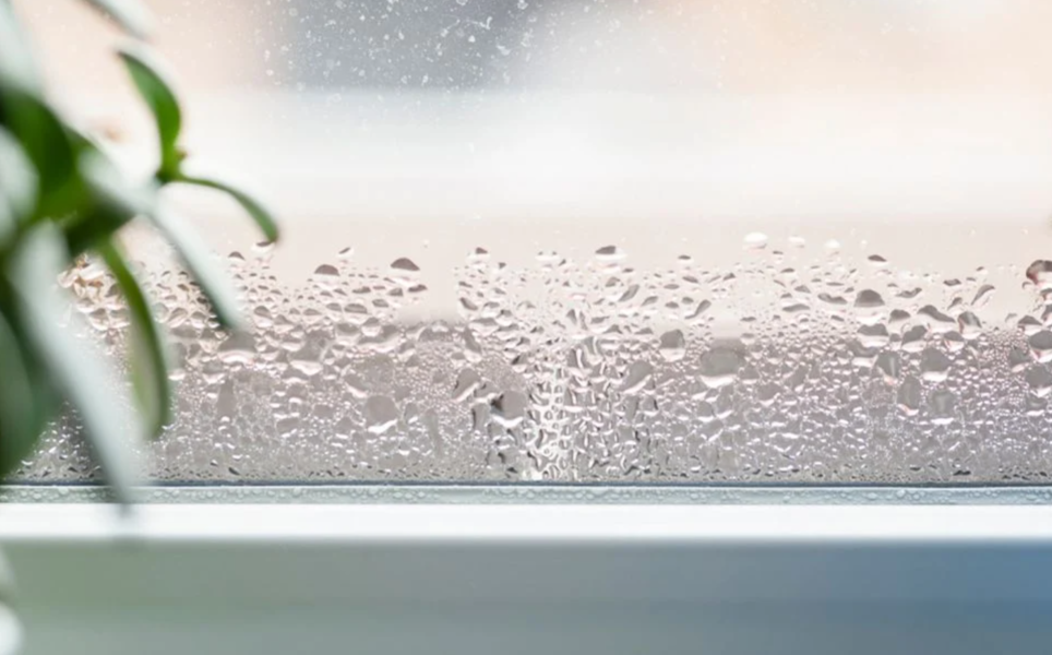 Humidité : quand vos murs prennent l’eau, voici comment riposter