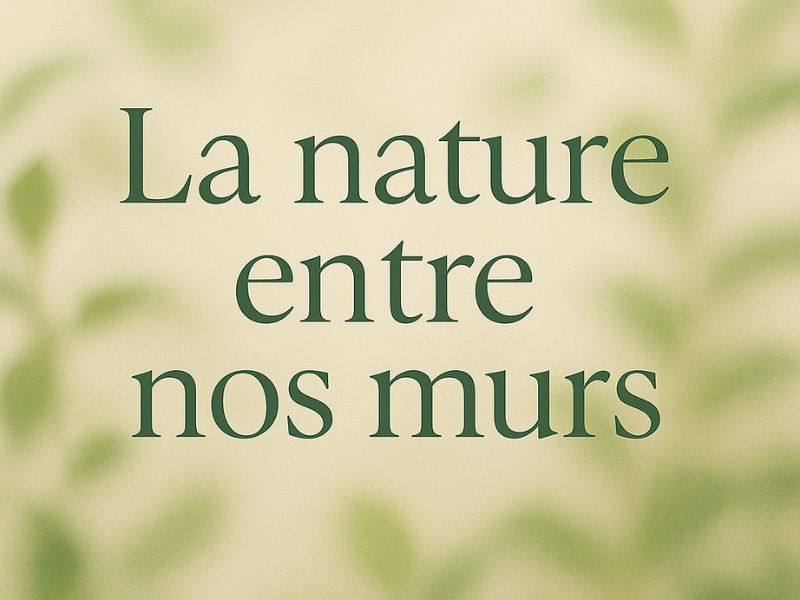 Les plantes qui dépolluent vraiment nos intérieurs