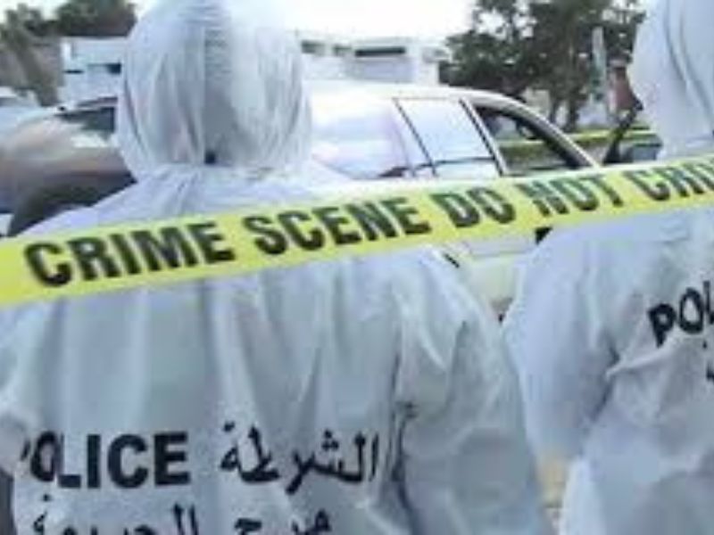 Du fait divers à “l’affaire” : anatomie d’une bascule politique