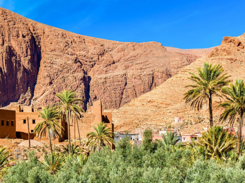 La production prévisionnelle des dattes s’élève à 160 000 tonnes