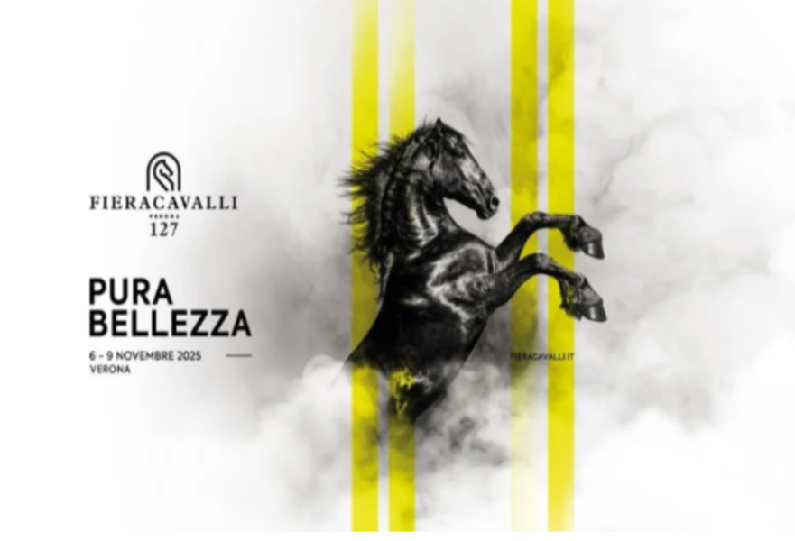 Le Maroc, invité d’honneur du prestigieux salon Fieracavalli 2025 à Vérone