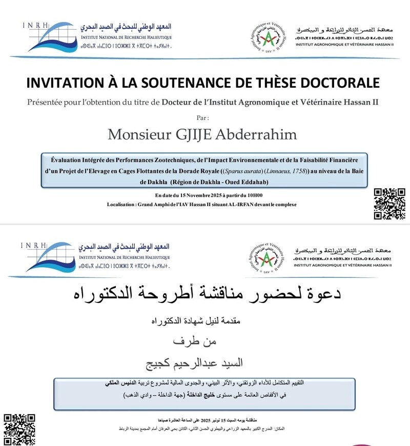 Soutenance de thèse à Rabat : une étude intégrée sur l’élevage en cages flottantes de la dorade royale à Dakhla