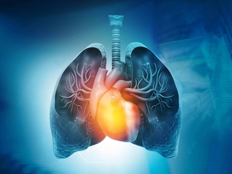 Le retour des maladies respiratoires : pourquoi les bronchiolites et pneumonies progressent fortement chez les enfants marocains en 2025