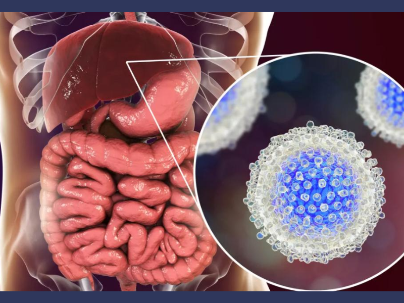 Hépatite B: l’OMS classe le Maroc parmi les pays “maîtrisant” la maladie