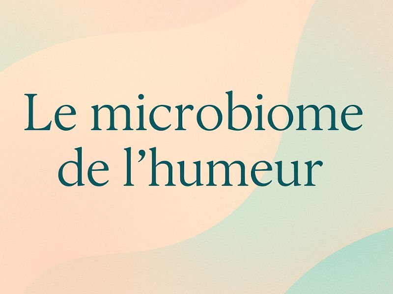 Microbiome de l’humeur : comment nos bactéries intestinales influencent l’anxiété, la motivation et la fatigue.