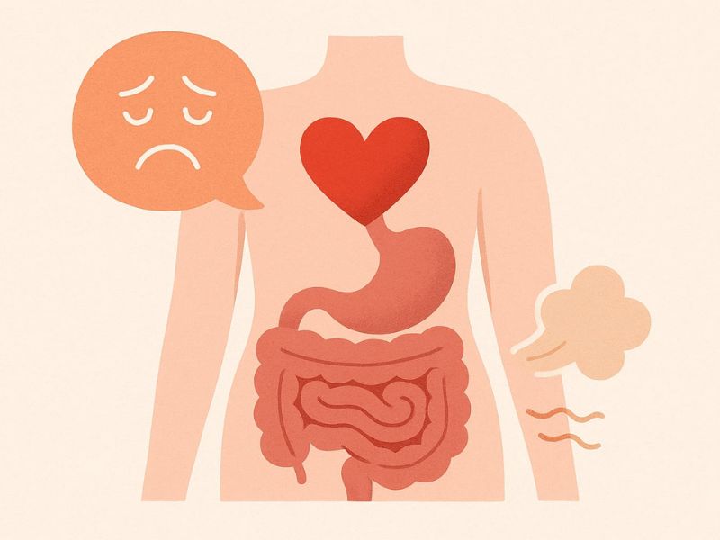 La digestion émotionnelle : comment le stress change la manière dont ton corps absorbe les nutriments