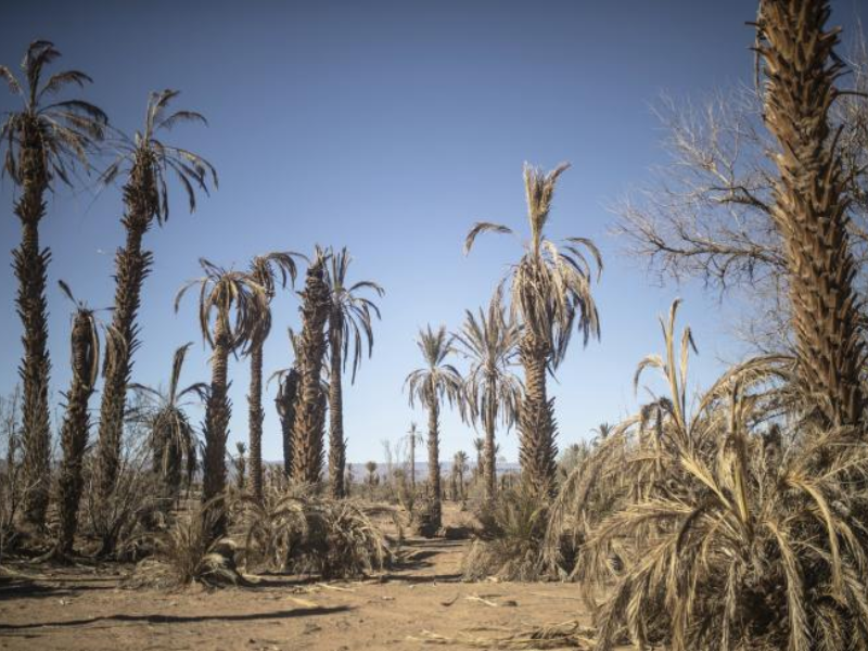 La Banque mondiale débloque 200 M$ pour renforcer la résilience climatique du Maroc
