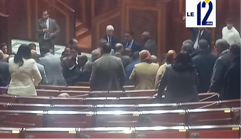 Le Cirque parlementaire