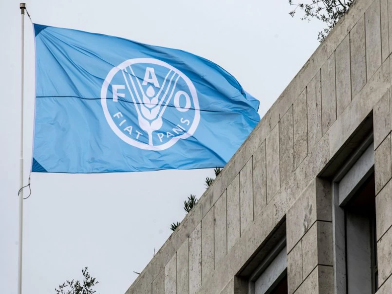 FAO: le Maroc à la vice‑présidence, une voix qui compte