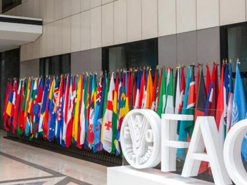 Réélu au Conseil du PAM, le Maroc consolide sa stratégie d’influence sur les politiques alimentaires en Afrique