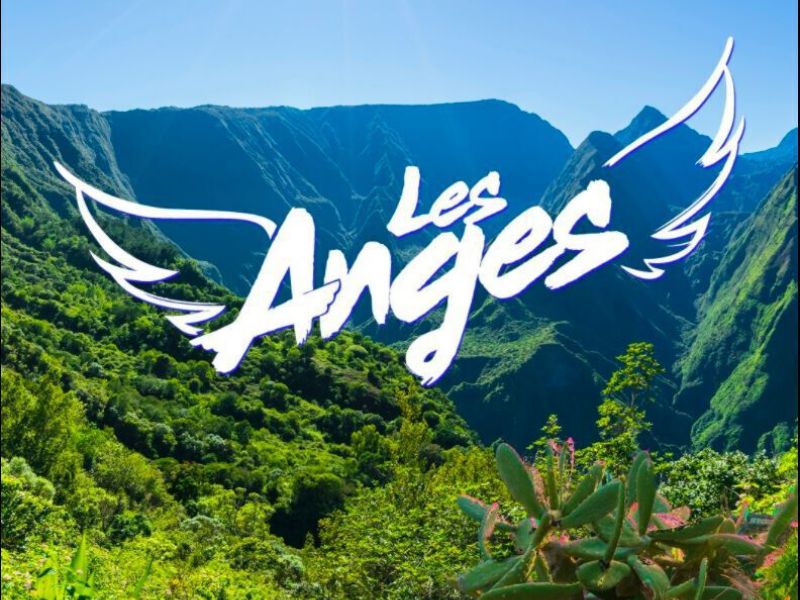 Les Anges de la télé-réalité : entre nostalgie et controverse