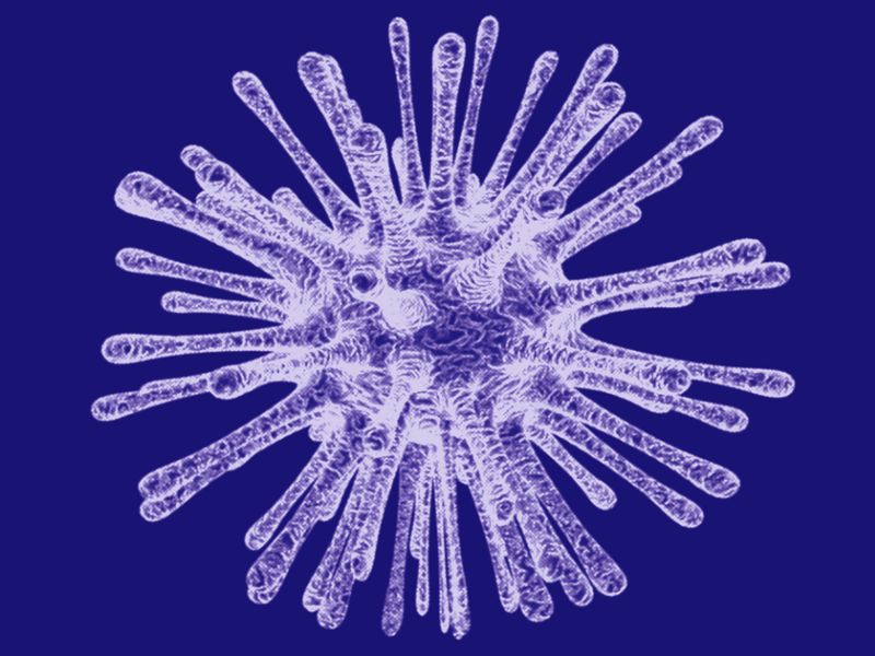 Le virus Epstein-Barr : un acteur majeur dans l’origine des maladies auto-immunes ?