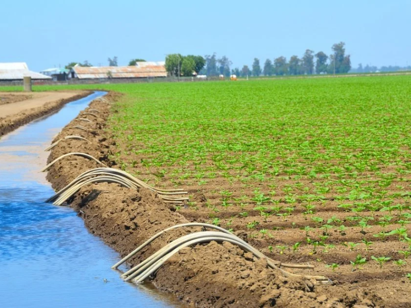 Chaouia : Novec aux commandes d’un schéma d’irrigation stratégique sur 250.000 hectares