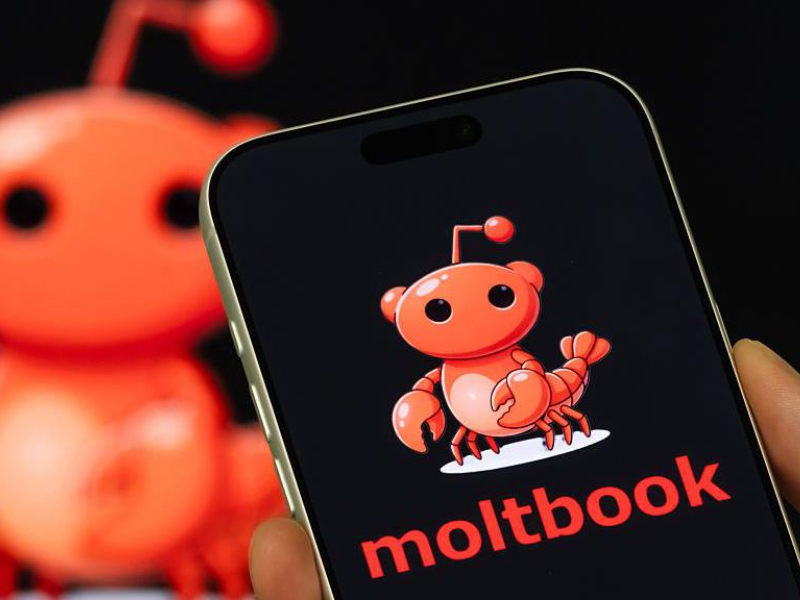 Moltbook, premier réseau social 100 % IA, interdit aux humains