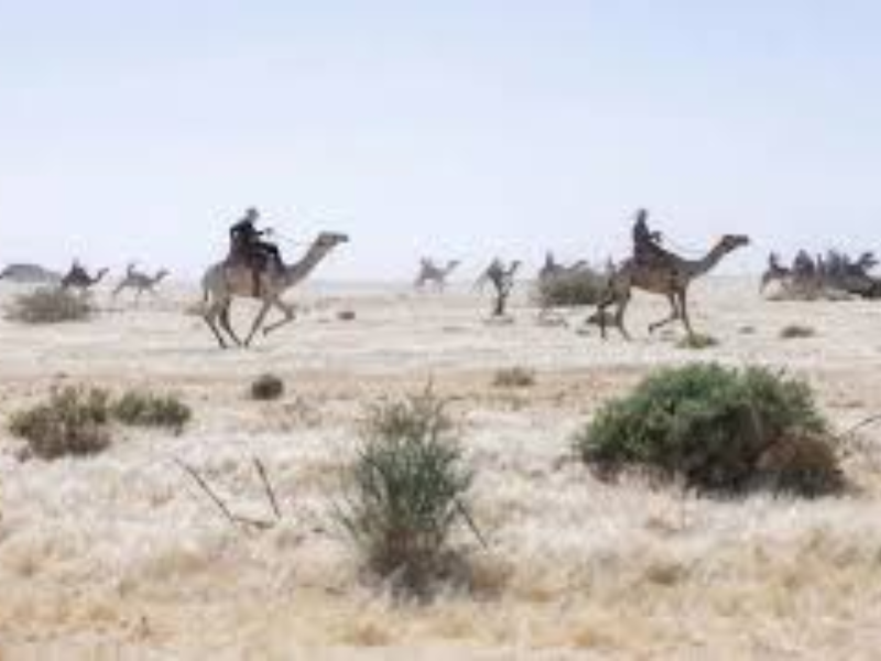 Mort dans le désert : un retraité français disparaît au Tchad