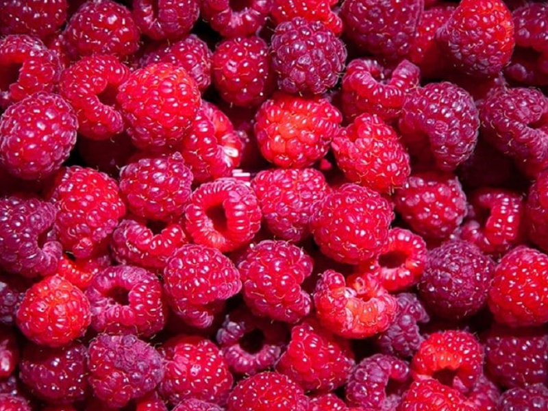 64 700 tonnes : le Maroc voit rouge… framboise