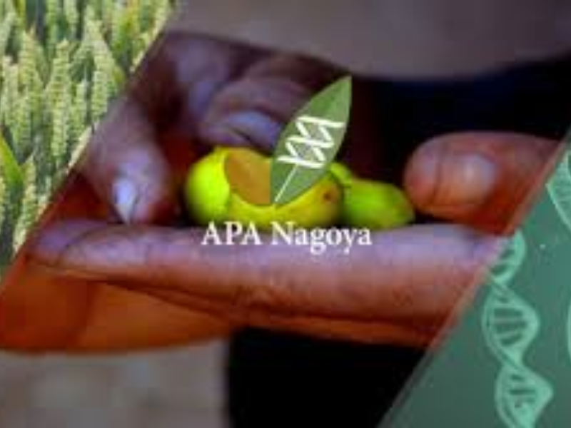 APA II : Un cadre durable pour la biodiversité