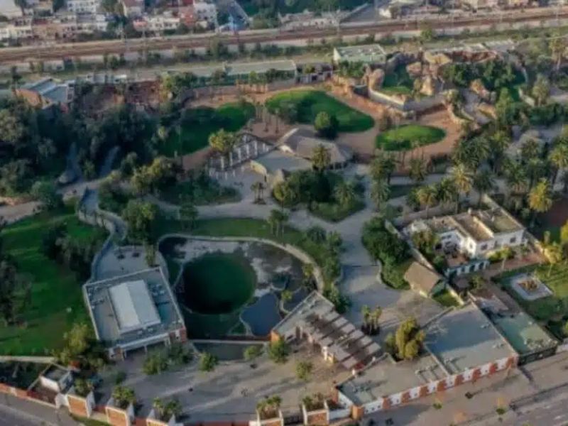 Le zoo de Aïn Sebaâ enregistre 76 000 visiteurs en janvier