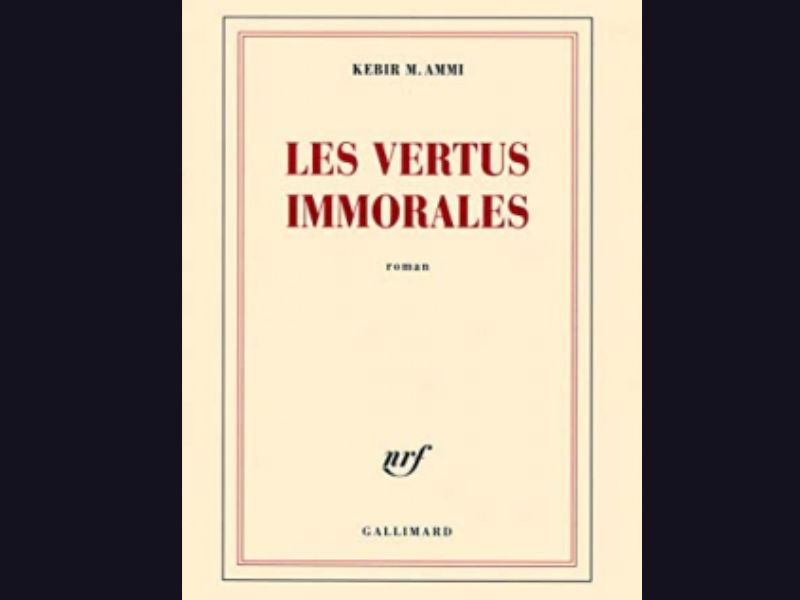 Les Vertus immorales : le voyage initiatique de Moumen entre savoir, épreuves et liberté