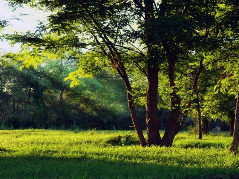 Ramadan : Dar Bouazza inaugure deux nouveaux espaces vergers pour offrir des lieux de respiration urbaine