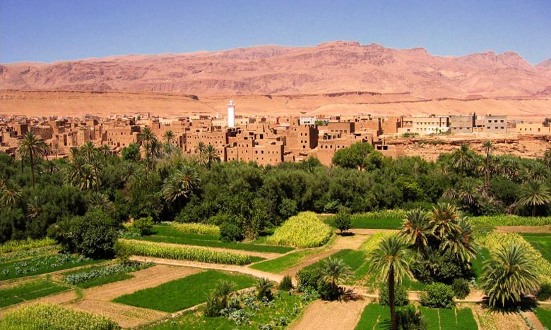 ​Réforme des terres des collectivités Soulaliyates: le gouvernement adopte deux décrets