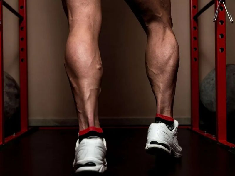 Le mollet, “deuxième cœur”: un acteur clé de la longévité