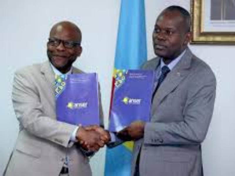 Solaire et rural : Cybastion change de terrain en RDC