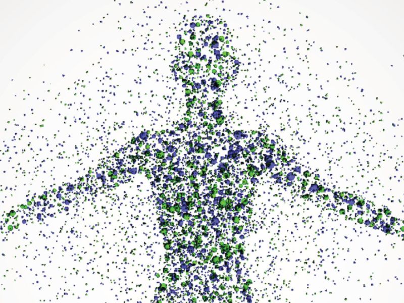 Métabolisme : mythe du “rapide ou lent” et vraies clés de la dépense énergétique