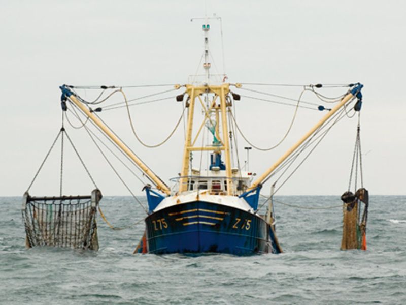 Pêche continentale : le Maroc impose l’immatriculation des embarcations