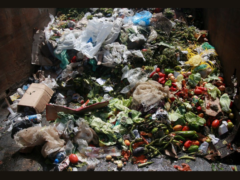 Le grand gâchis : Quand les Marocains jettent leur souveraineté alimentaire à la poubelle