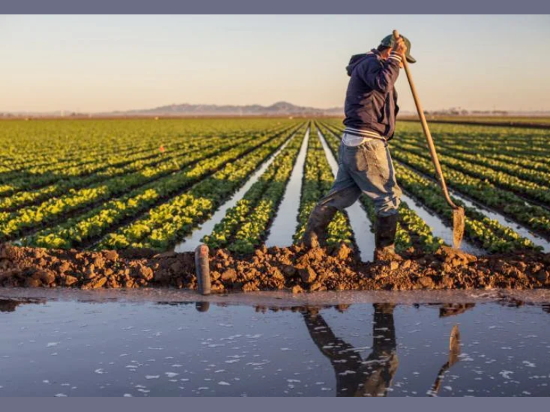 Agriculture : Une relance spectaculaire de 15% attendue en 2026