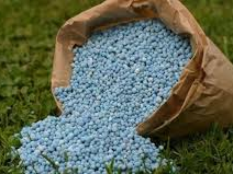 Engrais : le Maroc au cœur de la sécurité alimentaire